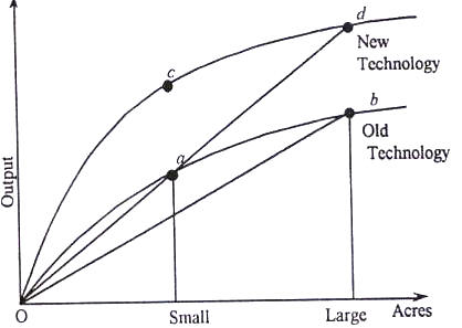 Relationship Between Green Revolution and Size Productivity